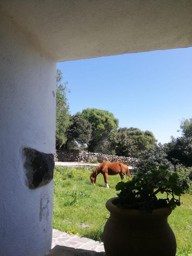 Sa Ruscitta Bed & Breakfast Sant'Antioco Bagian luar foto