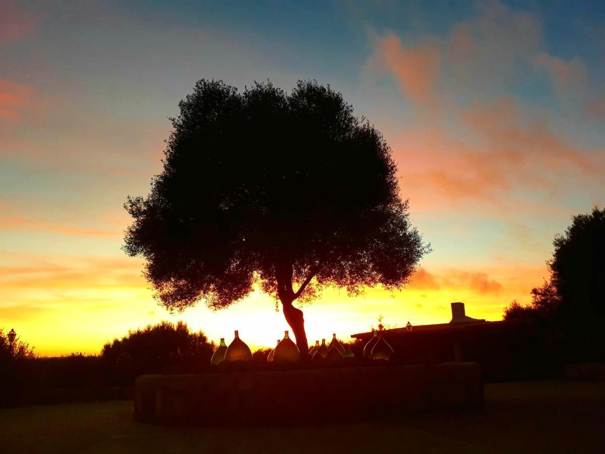 Sa Ruscitta Bed & Breakfast Sant'Antioco Bagian luar foto