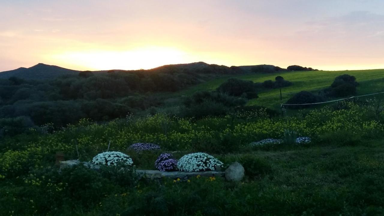 Sa Ruscitta Bed & Breakfast Sant'Antioco Bagian luar foto