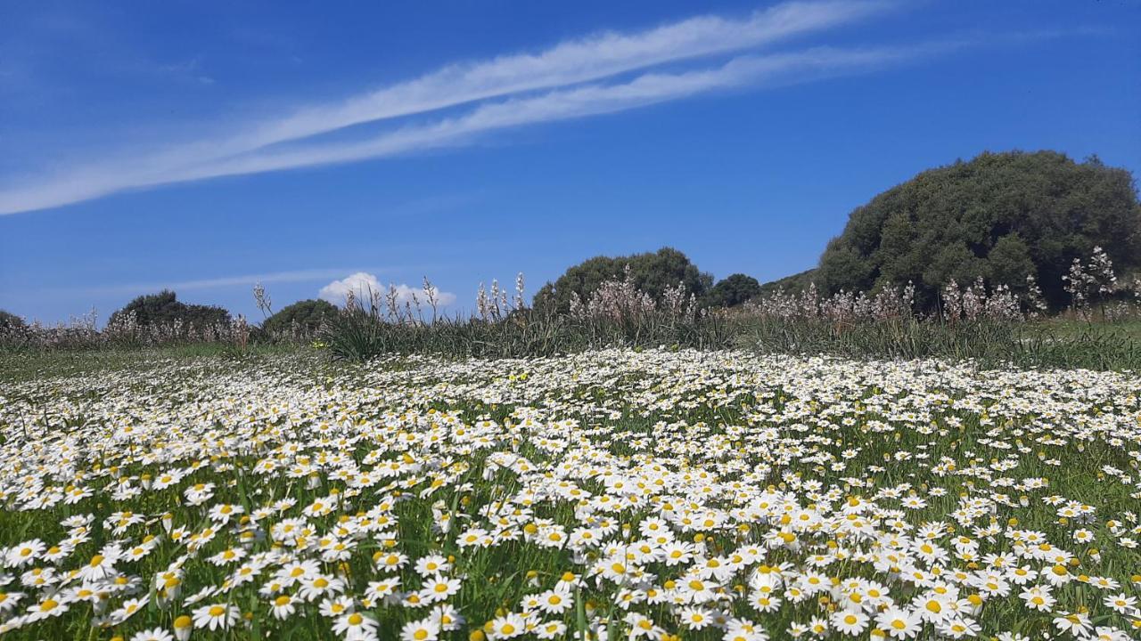 Sa Ruscitta Bed & Breakfast Sant'Antioco Bagian luar foto