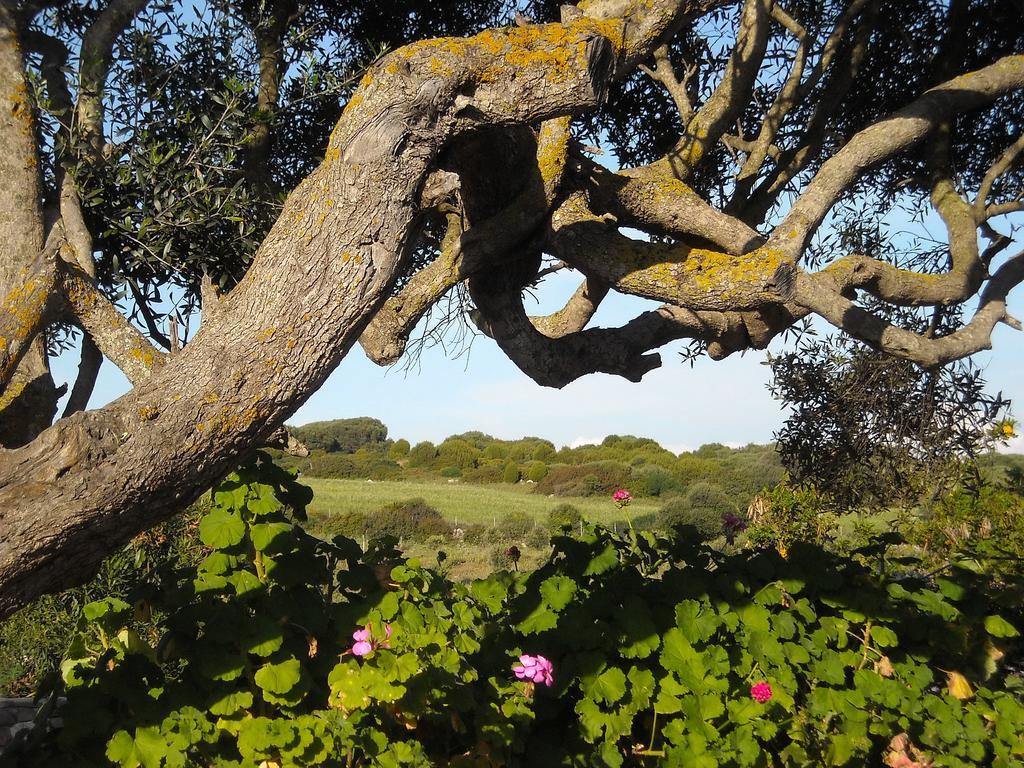 Sa Ruscitta Bed & Breakfast Sant'Antioco Bagian luar foto